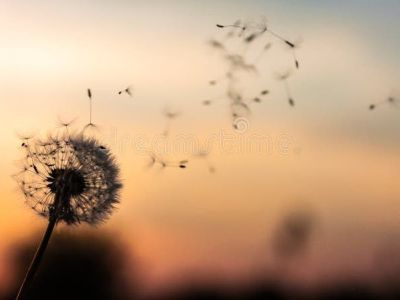 Chapter Thirteen: Eating well when you have&nbsp;cancer