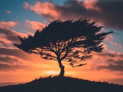 Chapter Sixteen: Family Fortunes – Part.&nbsp;2